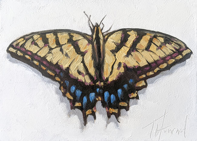 5x7 oil on panel<br>available