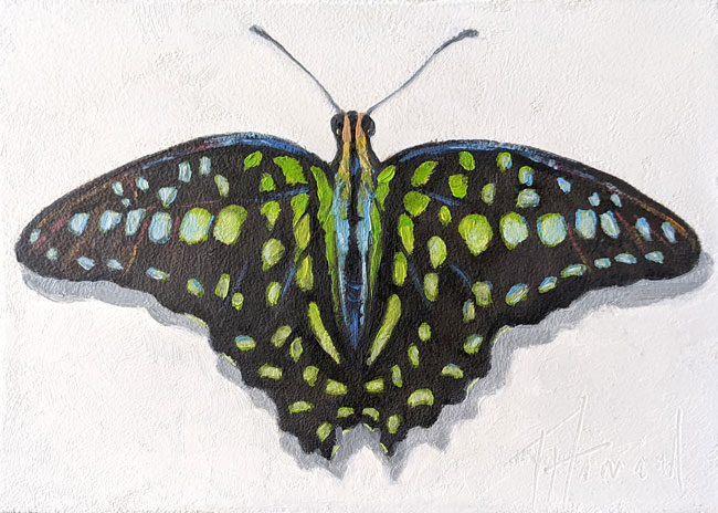 5x7 oil on panel<br>available
